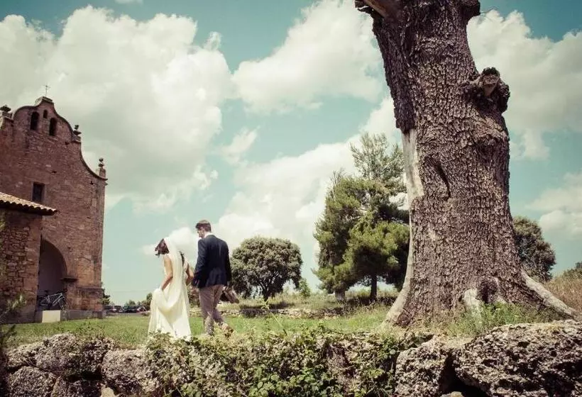 فندق Consolacion