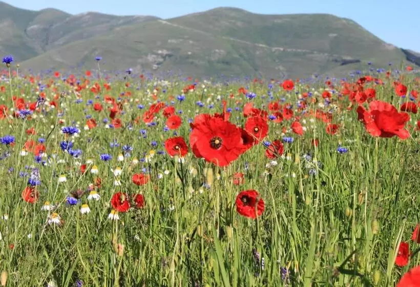 هتل Il Nascondiglio   The Hideaway