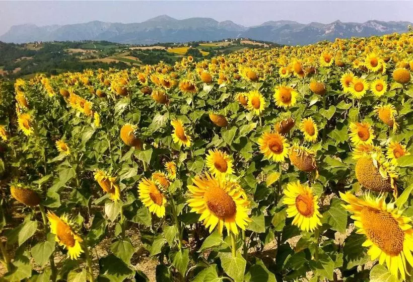 هتل Il Nascondiglio   The Hideaway