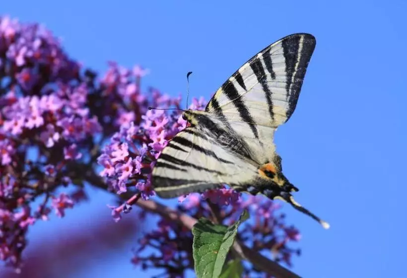 هتل Il Nascondiglio   The Hideaway