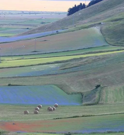 هتل Il Nascondiglio   The Hideaway