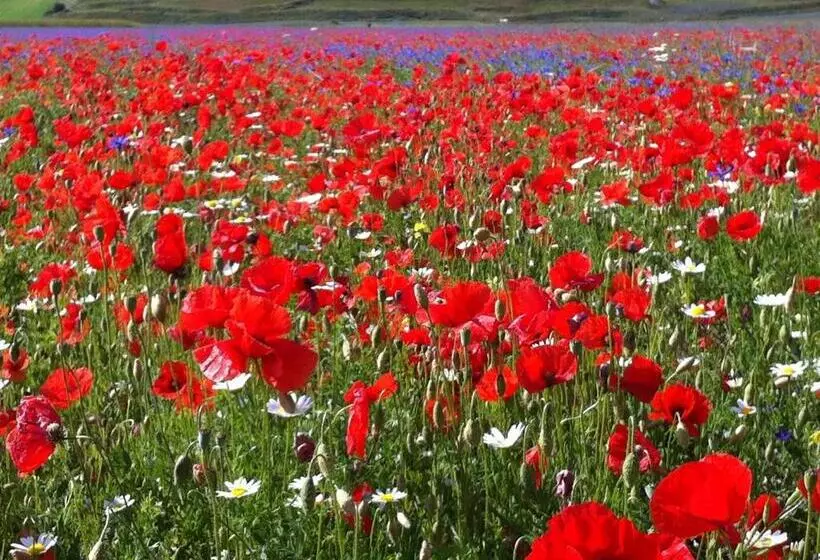 هتل Il Nascondiglio   The Hideaway