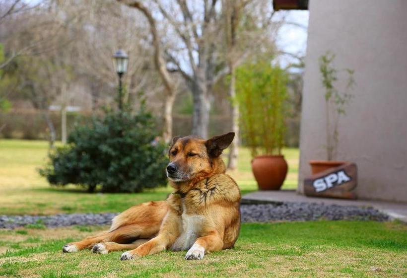 فندق Posada Piedras Del Sol