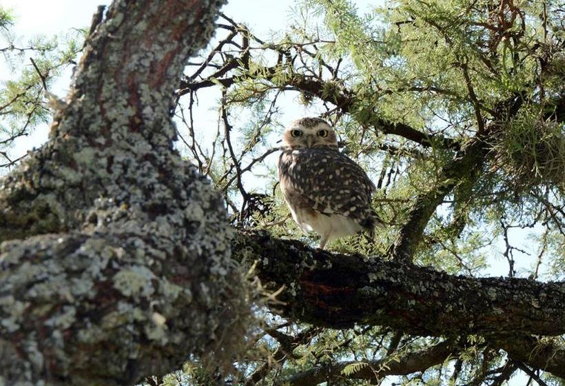 فندق Posada Piedras Del Sol