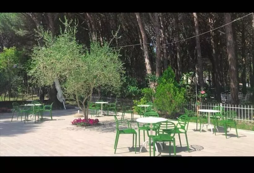 호텔 Pishat E Buta