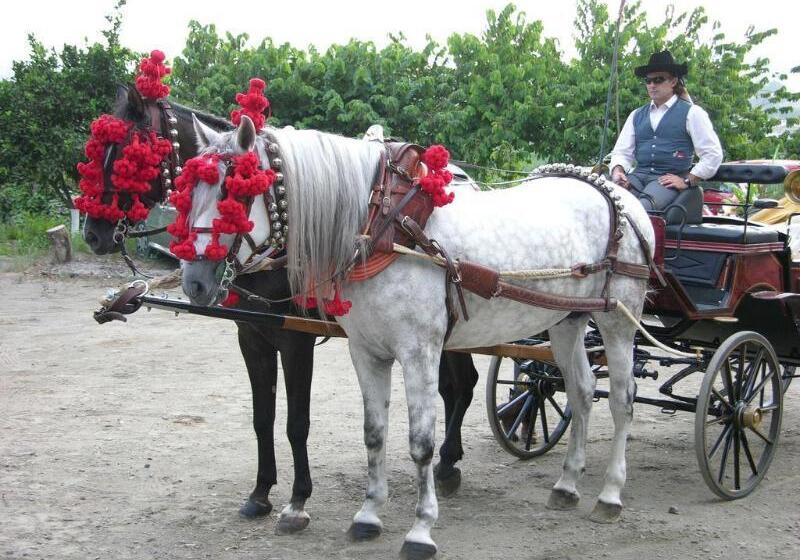 هتل روستایی Casa De Los Bates