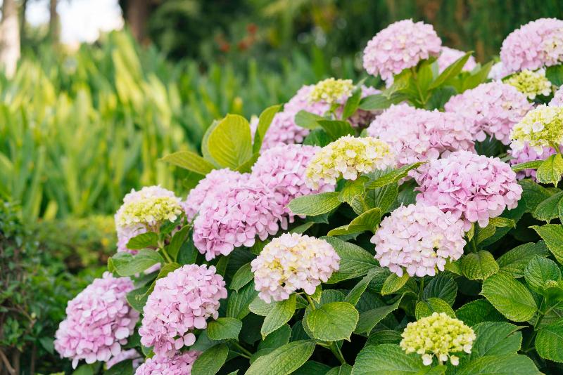 هتل روستایی Casa De Los Bates