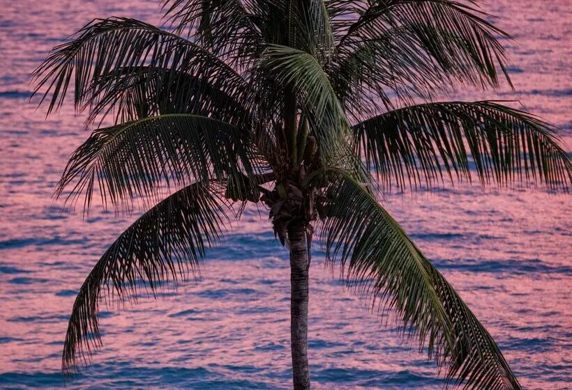 هتل Sandals Barbados All Inclusive Couples Only