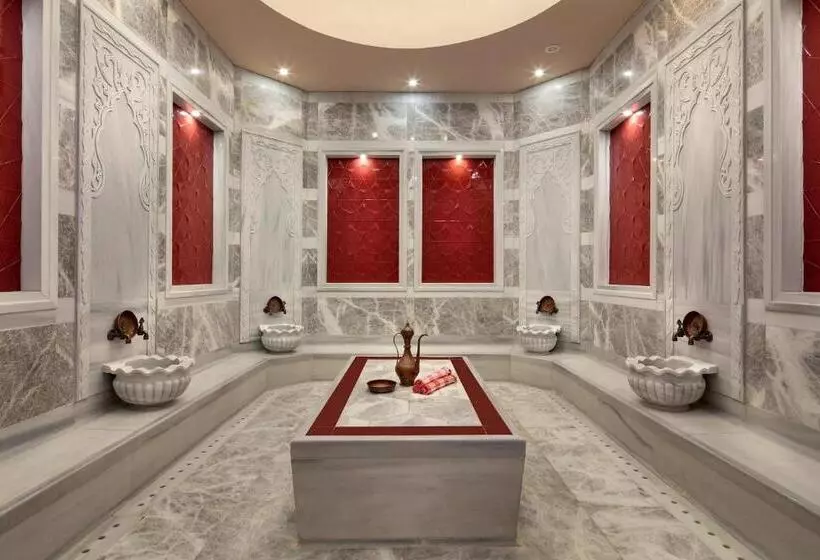 هتل Sheraton Bursa