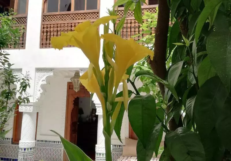Riad Ben Youssef