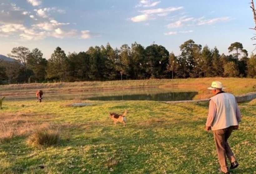 هتل Cabañas Zacatlan