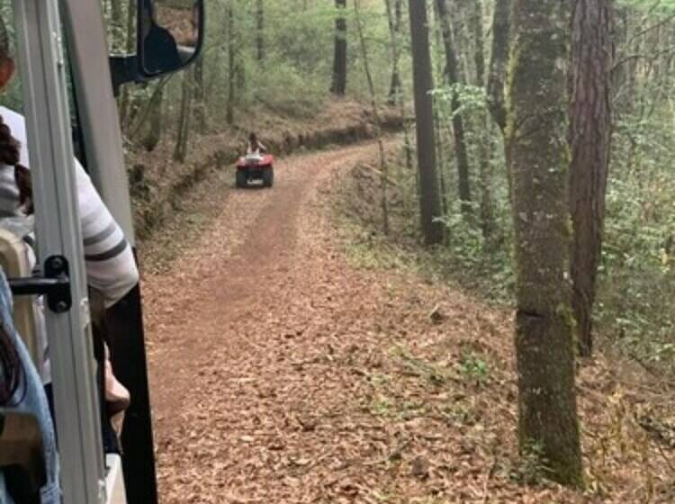 هتل Cabañas Zacatlan