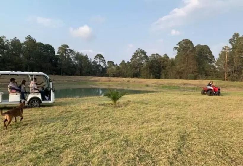 Hotelli Cabañas Zacatlan
