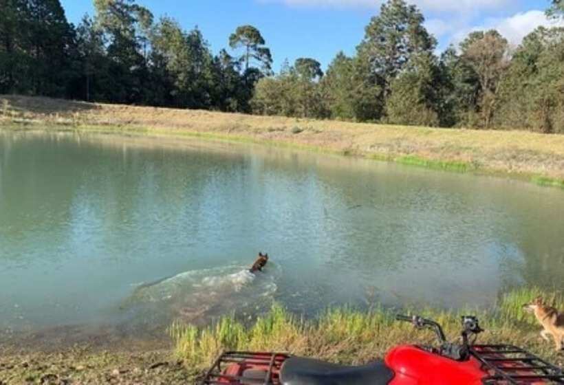 هتل Cabañas Zacatlan