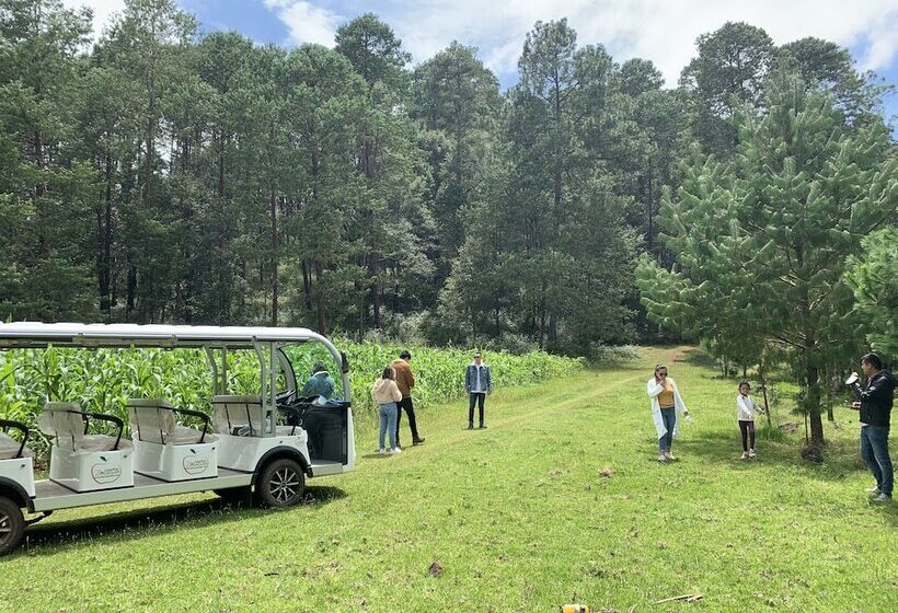 هتل Cabañas Zacatlan