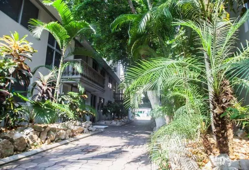 هتل Suites La Fragua