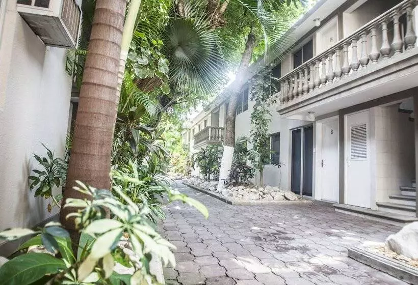 هتل Suites La Fragua