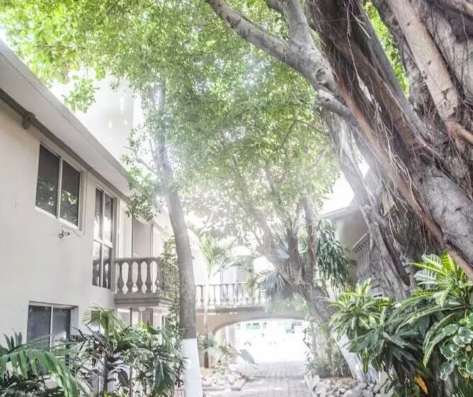 هتل Suites La Fragua