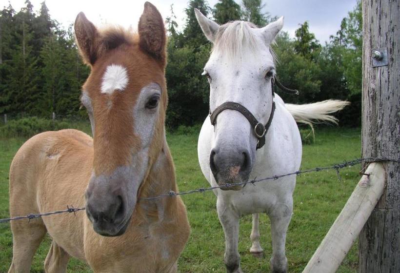 צימר Lakeland Midsummer Lakehouse