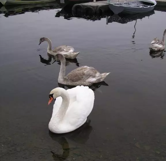 민박 Lakeland Midsummer Lakehouse