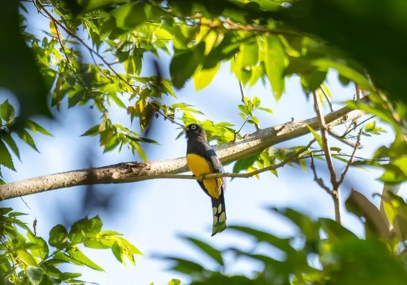 Bolontiku Boutique Hotel & Spa