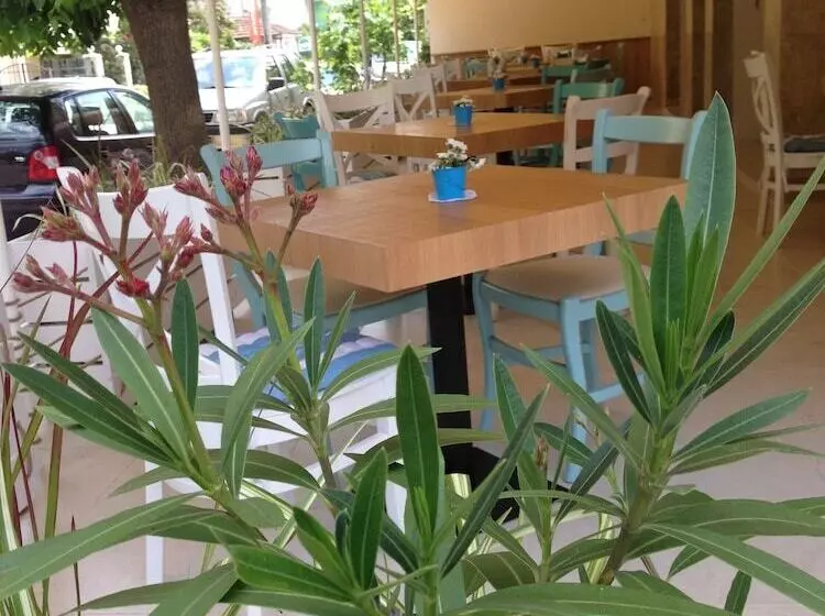 Family Hotel Sunarita