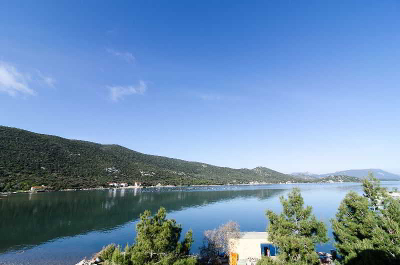 فندق Apartments Bozovic