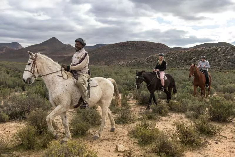 Отель Aquila Private Game Reserve