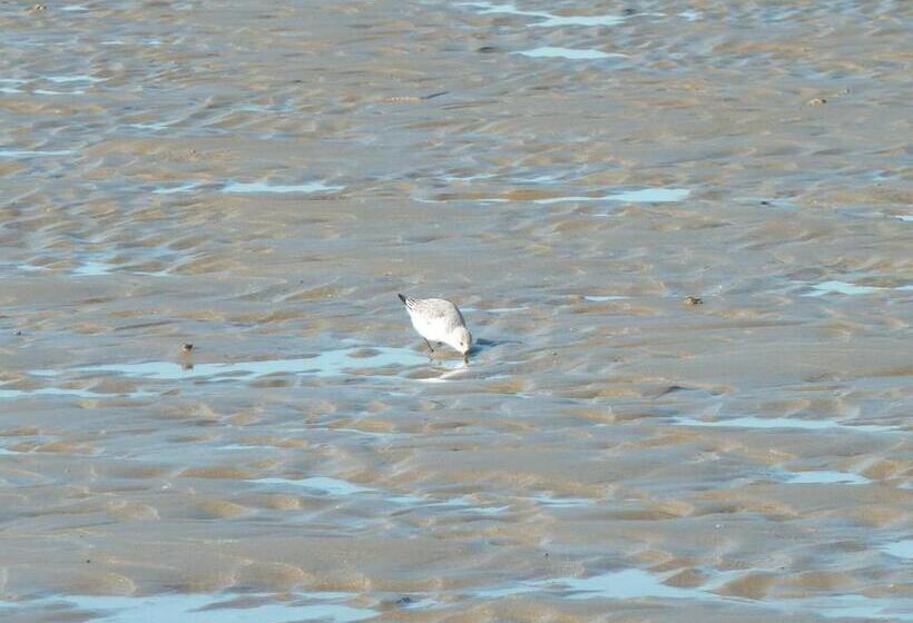 호텔 Résidence Au Soleil Breton Pentrez