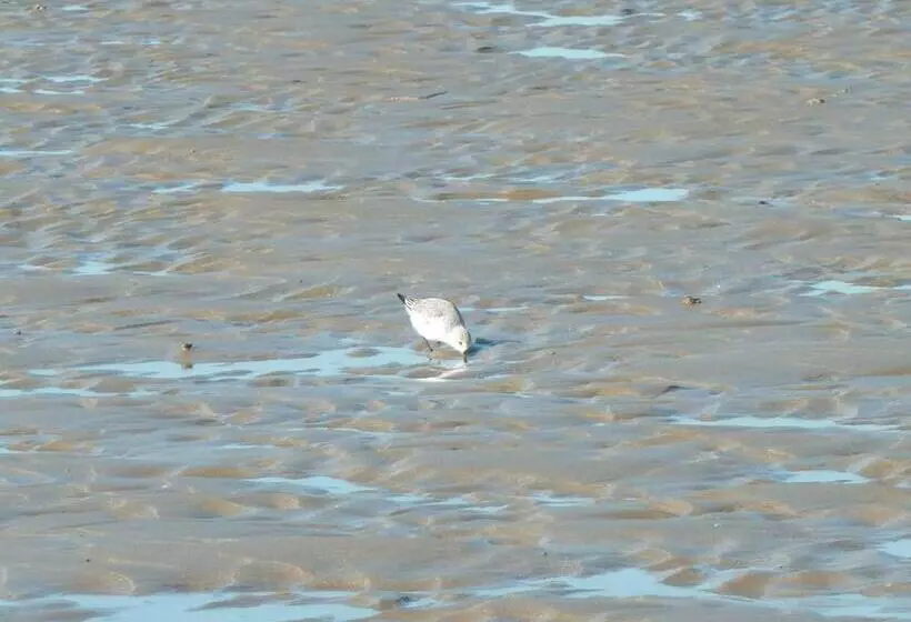 ホテル Résidence Au Soleil Breton Pentrez