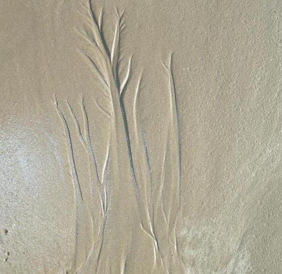 호텔 Résidence Au Soleil Breton Pentrez