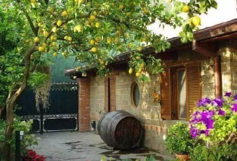 酒店 Casale Nunziatina