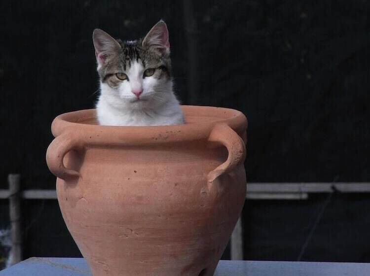 فندق Casale Nunziatina