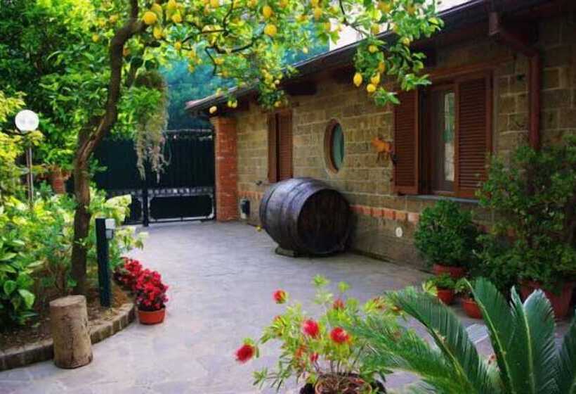 فندق Casale Nunziatina