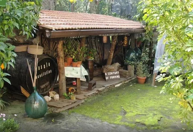 酒店 Casale Nunziatina