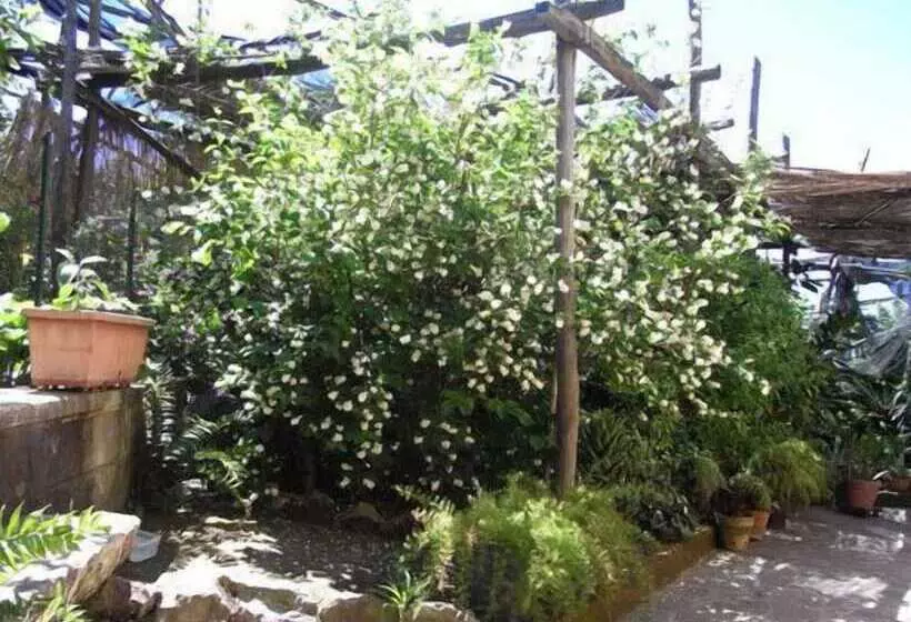 酒店 Casale Nunziatina