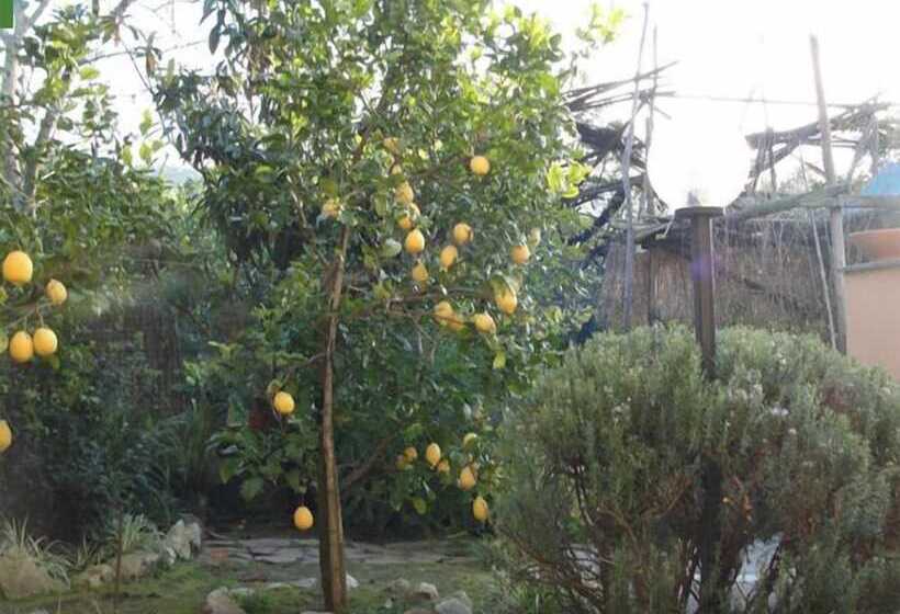 فندق Casale Nunziatina