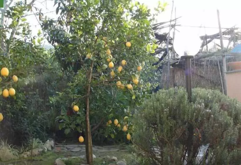 酒店 Casale Nunziatina