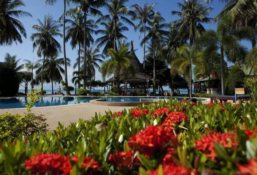 Отель Dewshore Resort