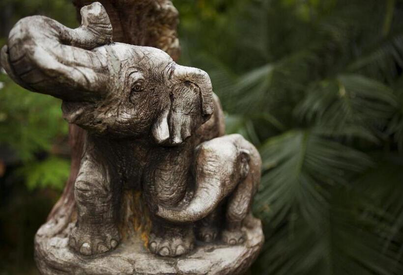 ホテル Dewshore Resort