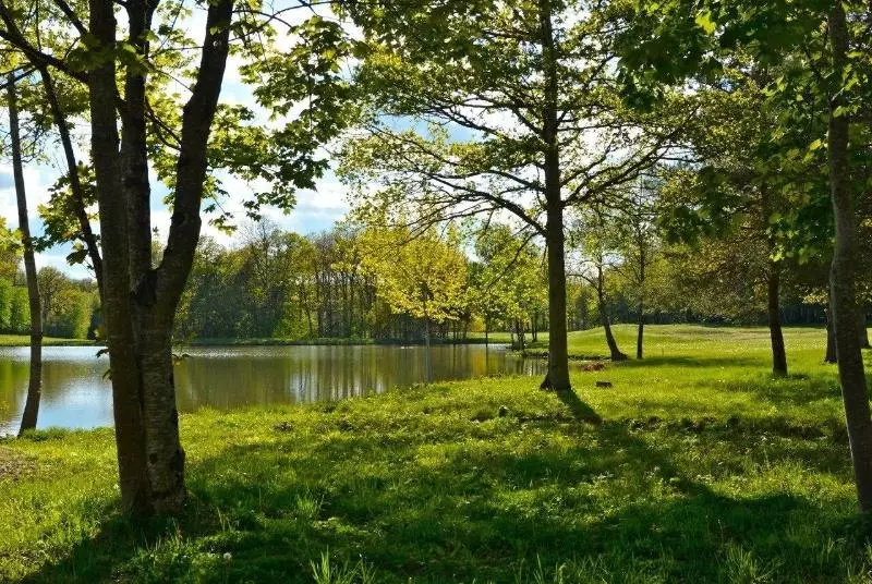 هتل Domaine Et Golf Du Roncemay