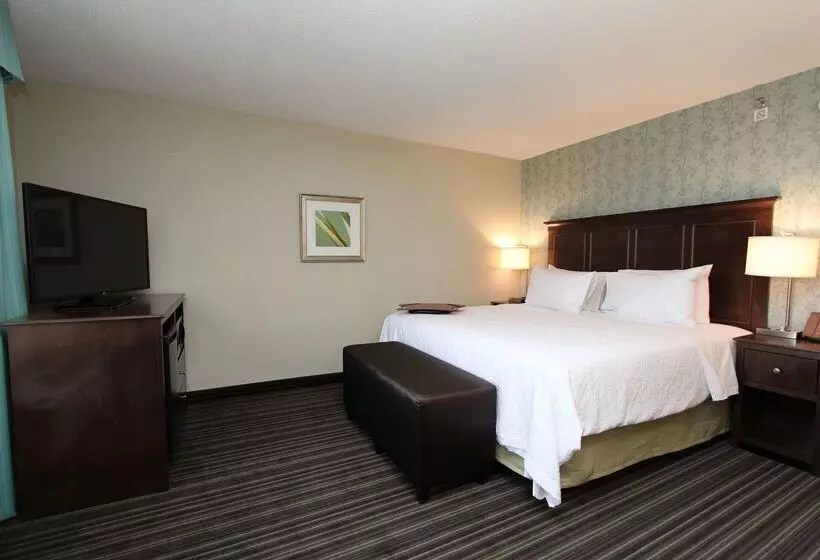 هتل Hampton Inn & Suites By Hilton St. John S Airport