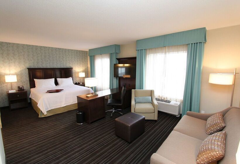 هتل Hampton Inn & Suites By Hilton St. John S Airport