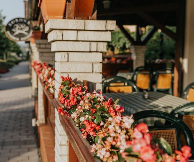 בית מלון כפרי Korona Pension And Restaurant