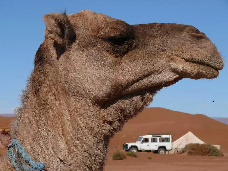 ホテル Le Dromblanc