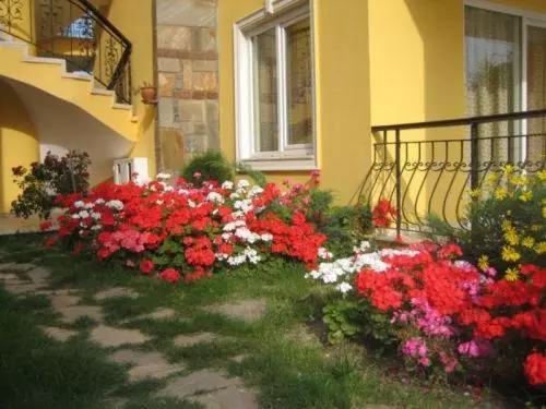 هتل Partmezzo Apart