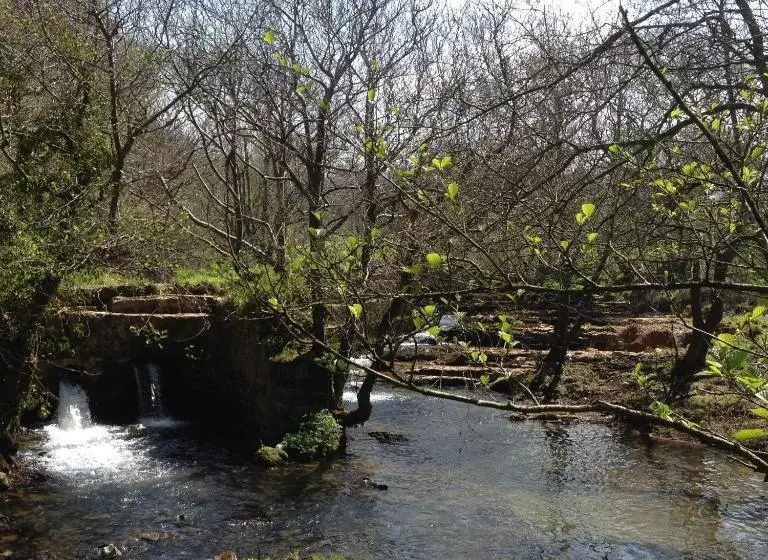 בית מלון כפרי Trisileja En Puente Romano
