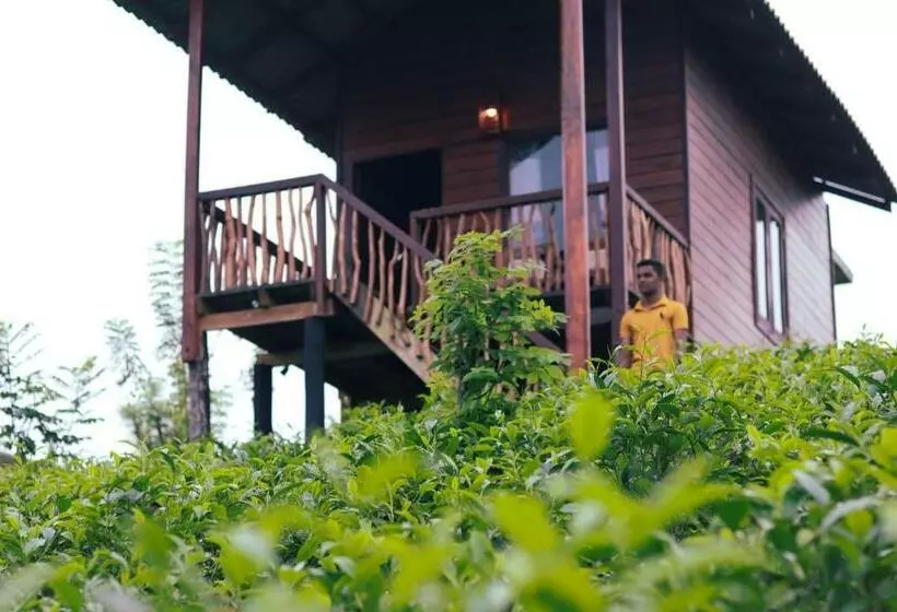 Hotelli Misty Mountain  Sinharaja