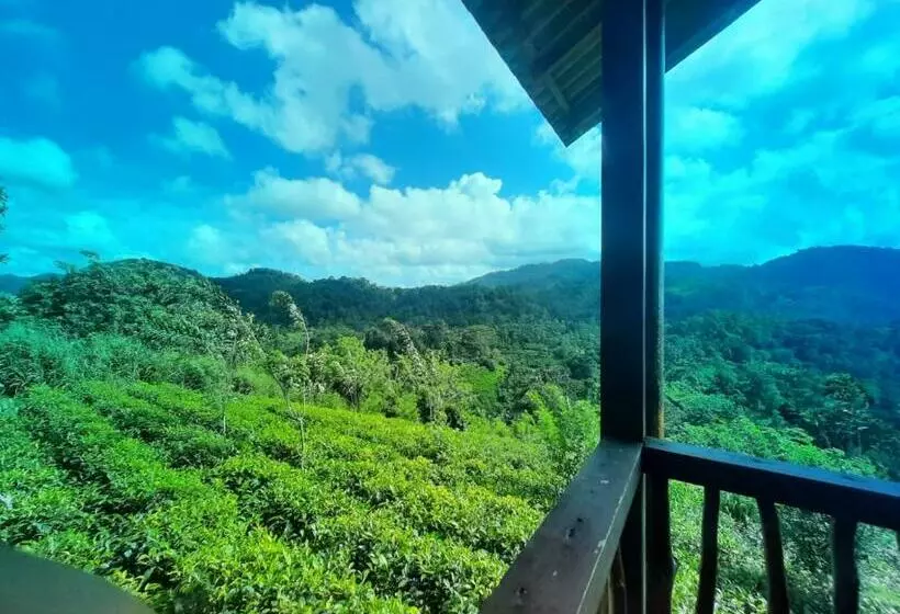 Hotelli Misty Mountain  Sinharaja