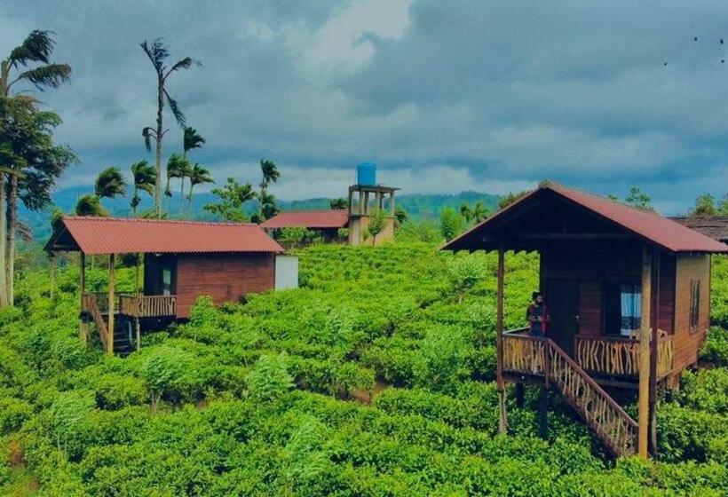 호텔 Misty Mountain  Sinharaja